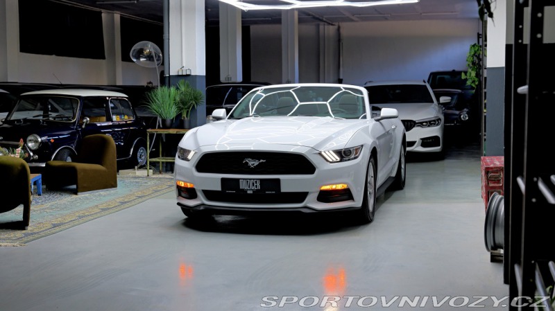 Ford Mustang Cabrio 3.7 224 kw