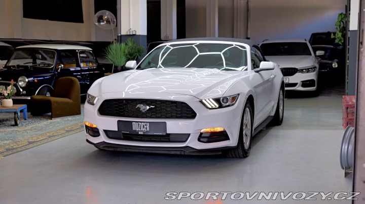 Ford Mustang Cabrio 3.7 224 kw 2015