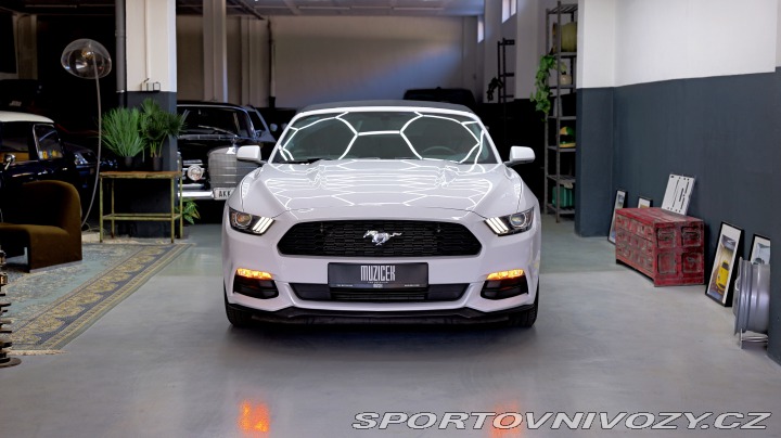 Ford Mustang Cabrio 3.7 224 kw 2015