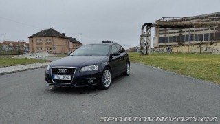 Audi A3 2,0 8P 1800