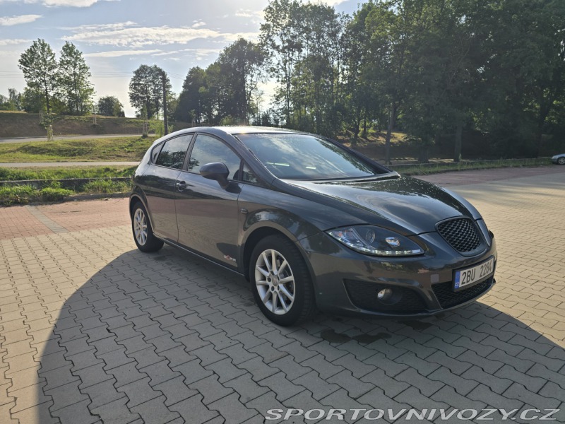 Seat Leon 1P1, Copa
