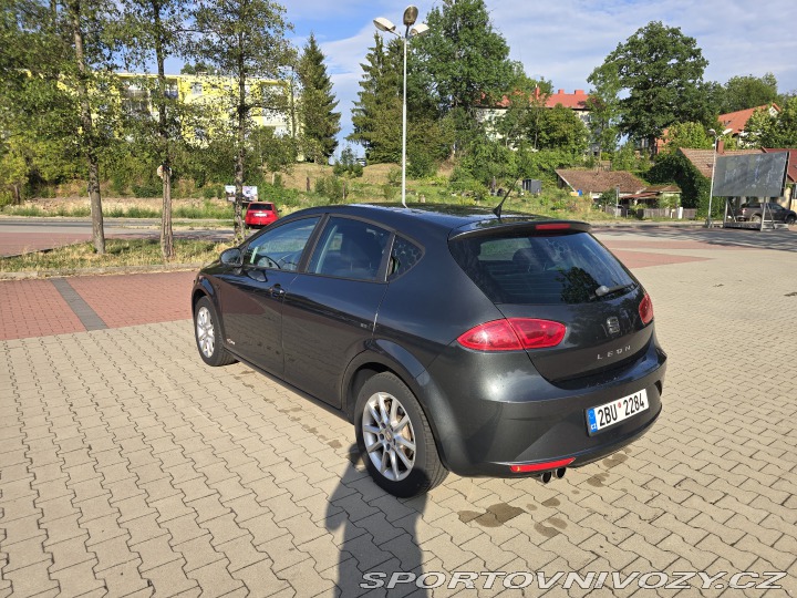Seat Leon 1P1, Copa 2011