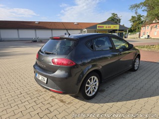 Seat Leon 1P1, Copa 2011