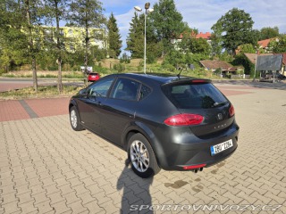 Seat Leon 1P1, Copa 2011