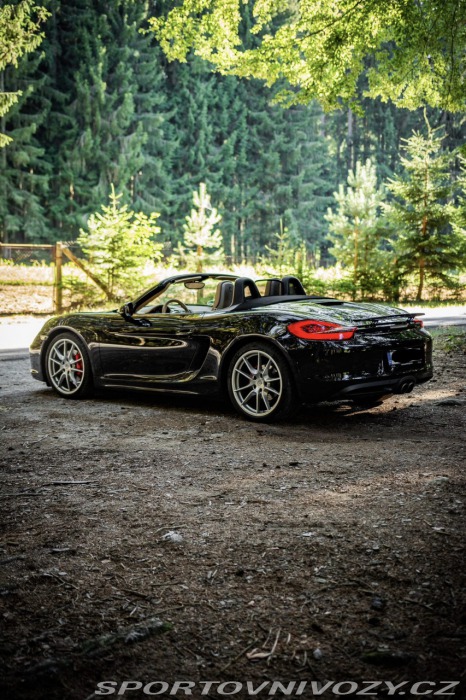 Porsche Boxster 981 S