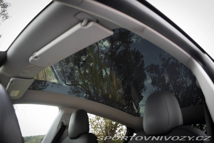 Tesla Model Y Dual Motor Long Range / 2022