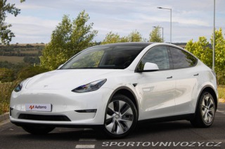 Tesla Model Y Dual Motor Long Range / 2022