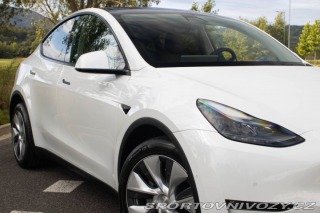 Tesla Model Y Dual Motor Long Range / 2022