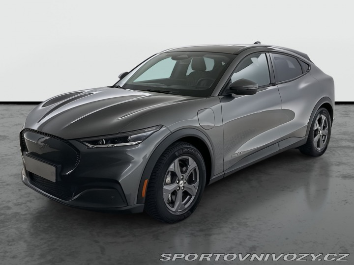 Ford Mustang Mach-E Standard Range RW 2020