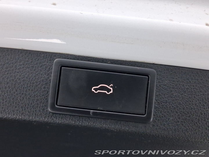 Škoda Octavia RS RS RS 2.0 TDI 2021