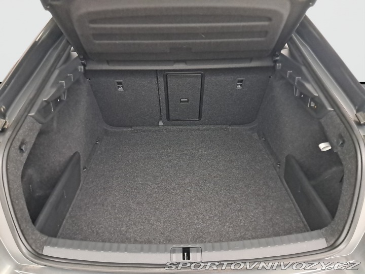 Škoda Octavia RS RS RS 2.0 TDI 4x4 2023