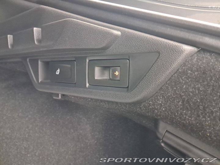 Škoda Octavia RS RS RS 2.0 TDI 4x4 2023