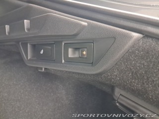 Škoda Octavia RS RS RS 2.0 TDI 4x4 2023