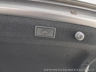 Škoda Octavia RS RS RS 2.0 TDI 4x4 2023