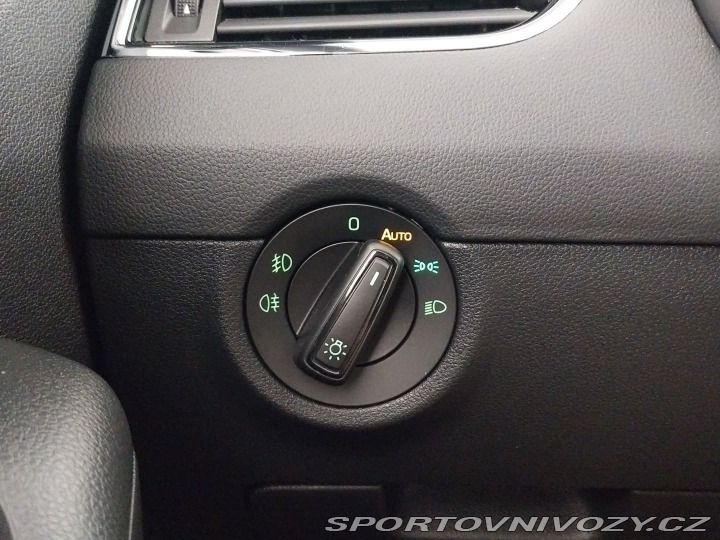 Škoda Octavia RS RS RS 2.0 TDI 4x4 DSG 2019