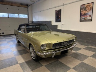 Ford Mustang 289
