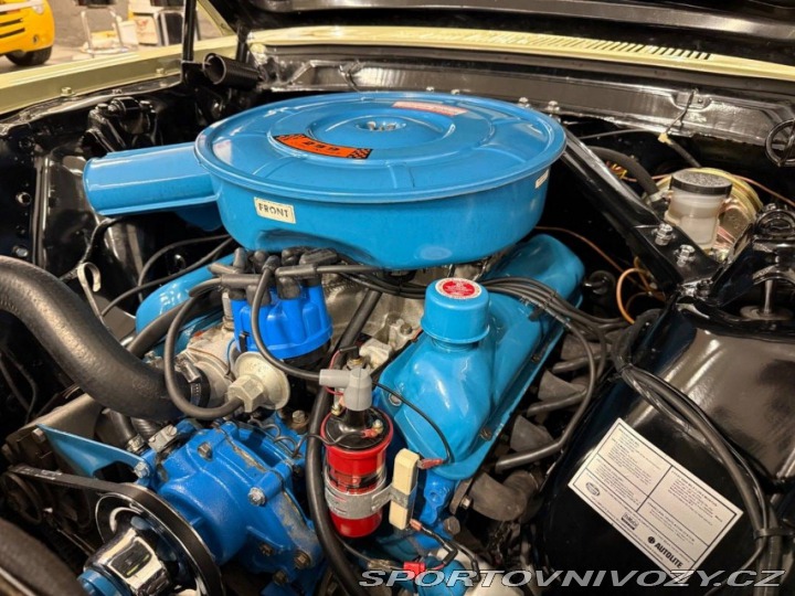 Ford Mustang 289 1966