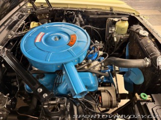 Ford Mustang 289 1966