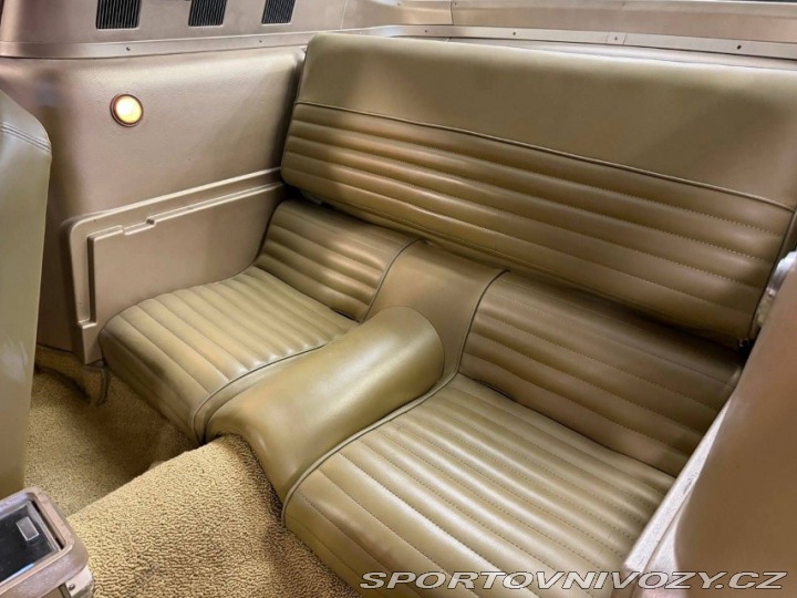 Ford Mustang Shelby GT 350H 1965