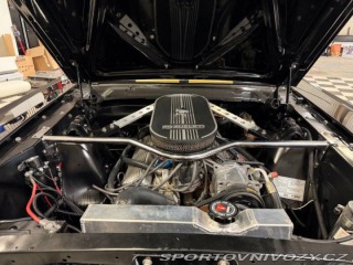 Ford Mustang Shelby GT 350H 1965