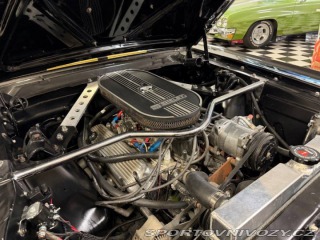 Ford Mustang Shelby GT 350H 1965
