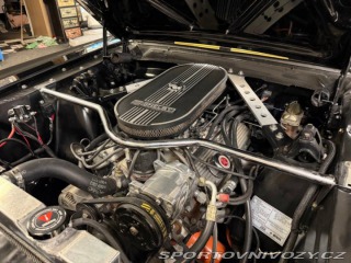Ford Mustang Shelby GT 350H 1965