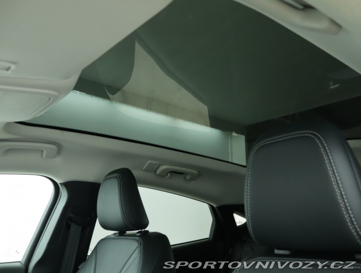 Ford Mustang Mach-E  Standard Range RW 2021