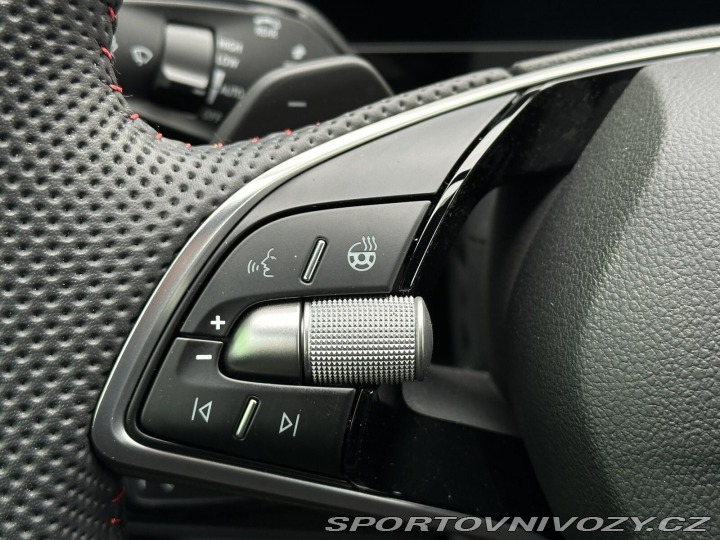 Škoda Kodiaq RS RS DSG 4x4 265PS Matrix-L 2026