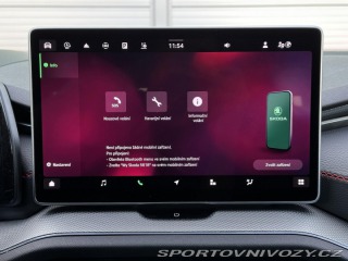 Škoda Kodiaq RS RS 265PS 2.0TSi 4x4 DSG M 2025