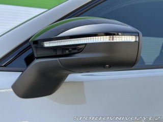Škoda Kodiaq RS RS 265PS 2.0TSi 4x4 DSG M 2025
