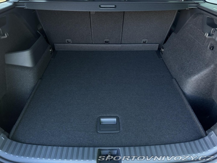 Škoda Kodiaq RS RS 265PS 2.0TSi 4x4 DSG M 2026