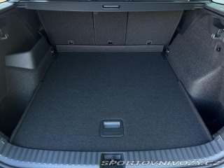 Škoda Kodiaq RS RS 265PS 2.0TSi 4x4 DSG M 2026
