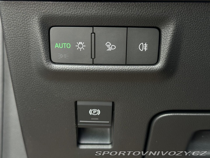 Škoda Kodiaq RS RS 2.0TSi DSG 4x4 265PS M 2025