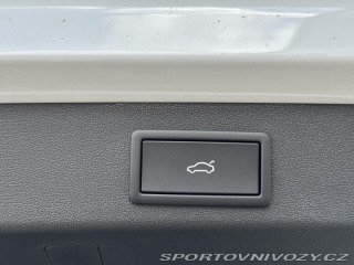 Škoda Kodiaq RS RS 2.0TSi DSG 4x4 265PS M 2026