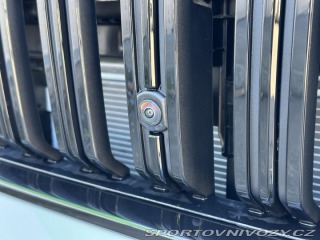 Škoda Kodiaq RS RS 265PS 2.0TSi 4x4 DSG 7 2026