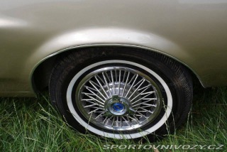 Ford Mustang 1967