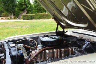 Ford Mustang 1967