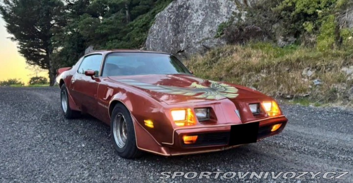 Pontiac Firebird Trans Am 1979