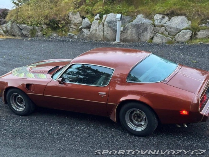 Pontiac Firebird Trans Am 1979