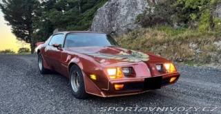 Pontiac Firebird Trans Am 1979