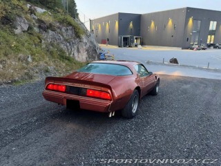 Pontiac Firebird Trans Am 1979