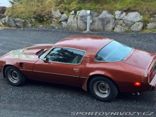 Pontiac Firebird Trans Am 1979