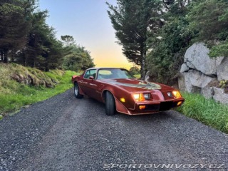 Pontiac Firebird Trans Am 1979