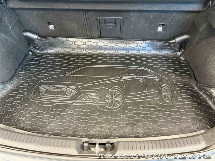 Hyundai i30 N 2,0 N PERFORMANCE 2023