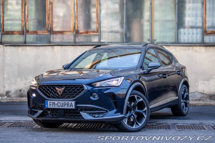 Cupra Formentor 2.0 TSI AT/7 140kW 2023 2023