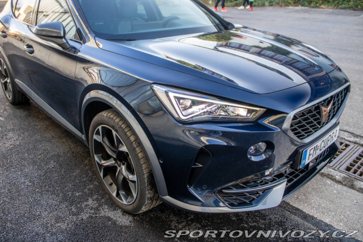 Cupra Formentor 2.0 TSI AT/7 140kW 2023 2023