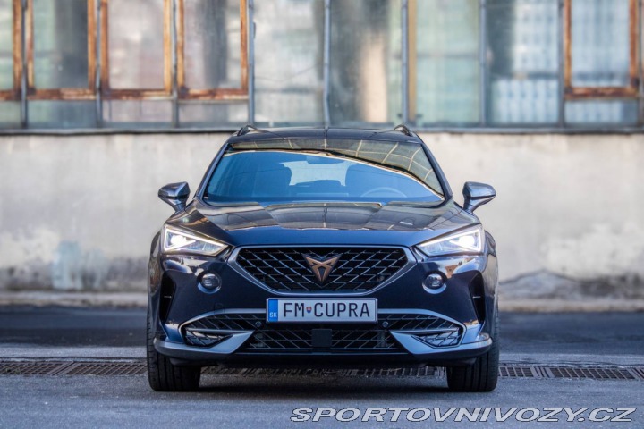 Cupra Formentor 2.0 TSI AT/7 140kW 2023 2023