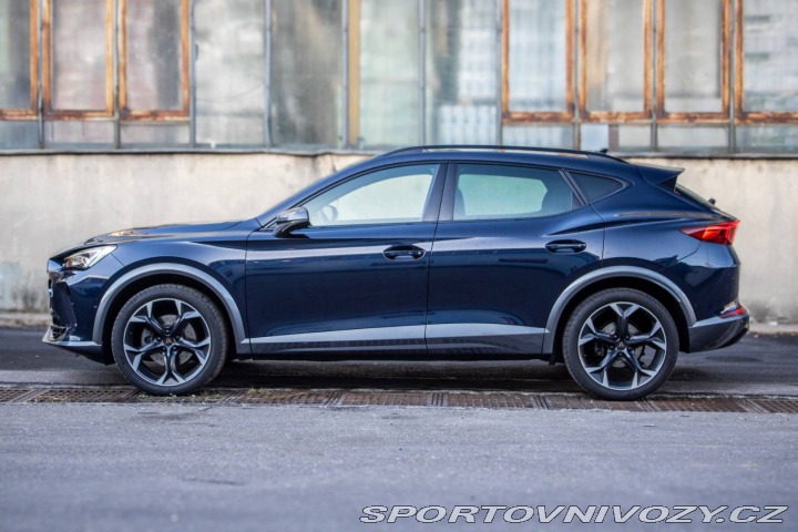 Cupra Formentor 2.0 TSI AT/7 140kW 2023 2023