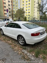 Audi A5 Audi A5 3.0 TDI DPF quatt 2007