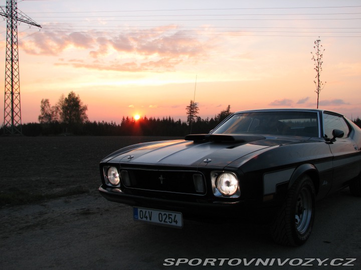 Ford Mustang Mach1 Fastback Cobra Jet 1973